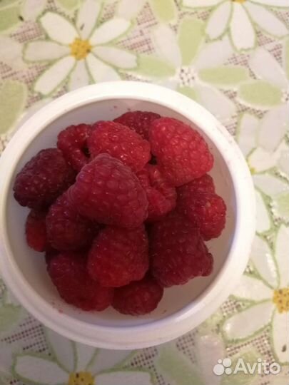 Ремонтантная малина