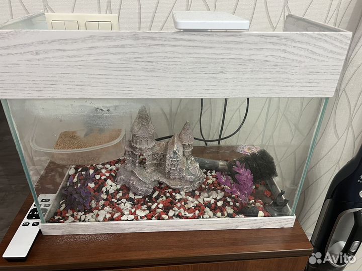 Аквариум