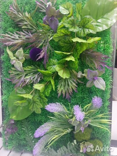 Фитокартина из декоративных растений