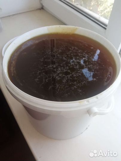 Мед гречневый