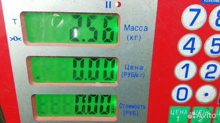 Пружина задняя Renault Koleos I (2007–2016)