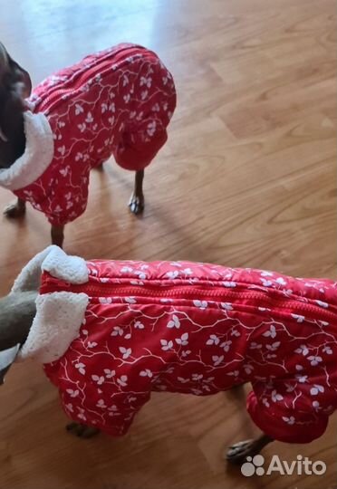 Зимний комбинезон размер s для мини собак