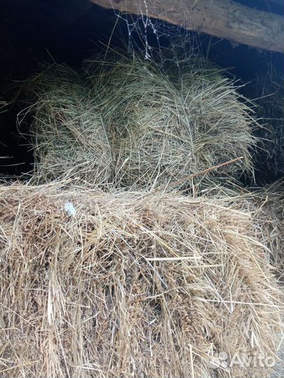 Сено луговое