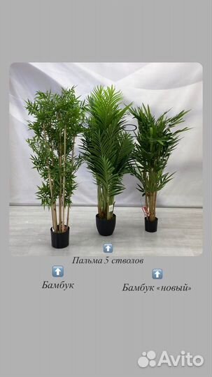 Декоративные (искусственные) деревья