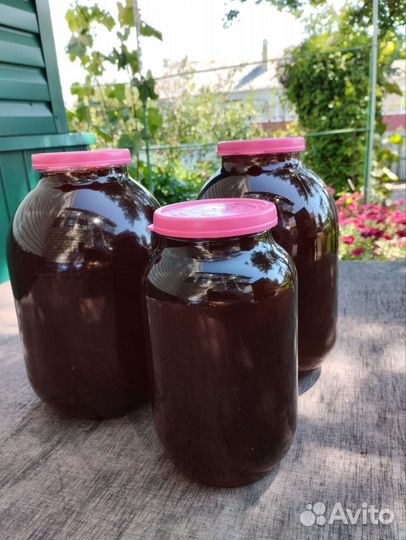 Мед гречиха