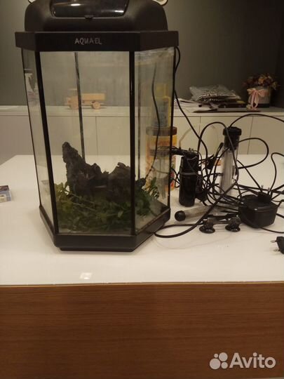 Аквариум