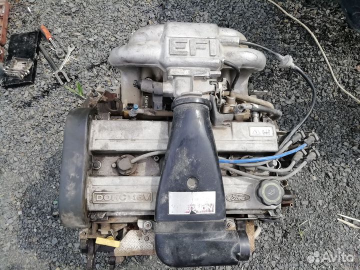 Двигатель Форд Эскорт L1E - 1,6л