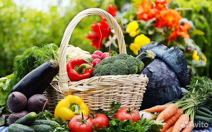 Биогумус компост удобрение