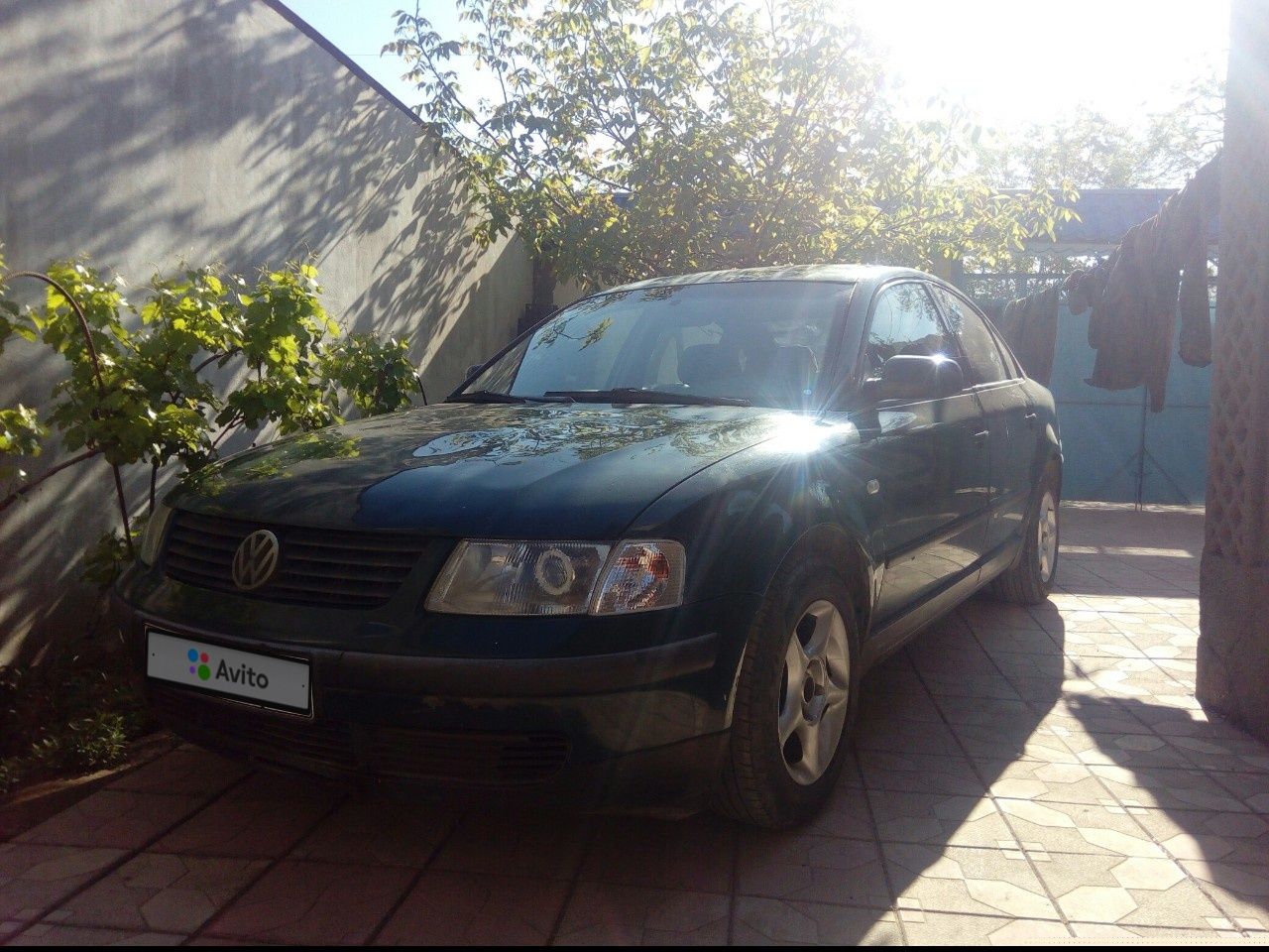 Volkswagen Passat: фото владельца