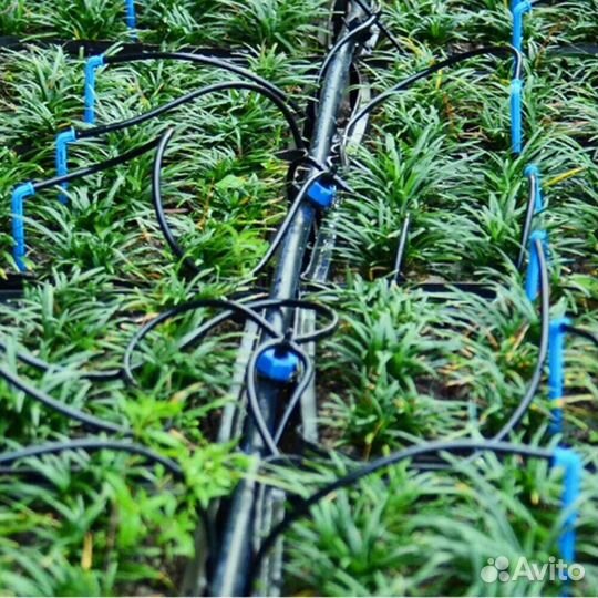 Капельный полив