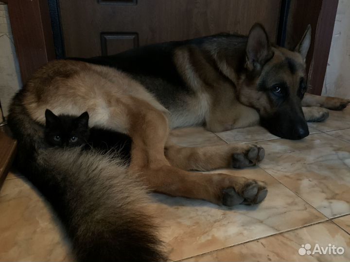 Кабель для вязки