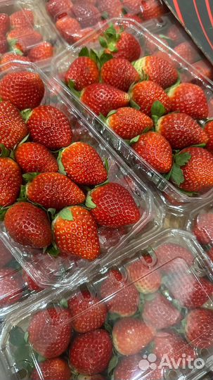 Клубника свежая