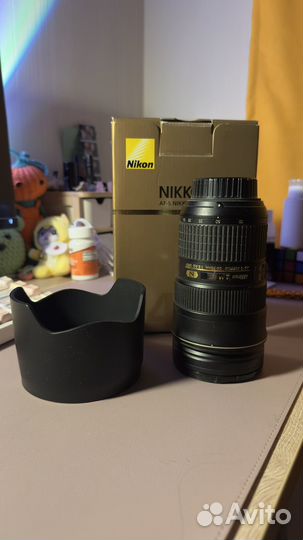 Nikon 24-70mm f/2.8G ED AF-S
