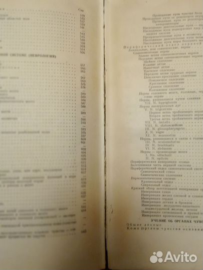 Учебник анатомии