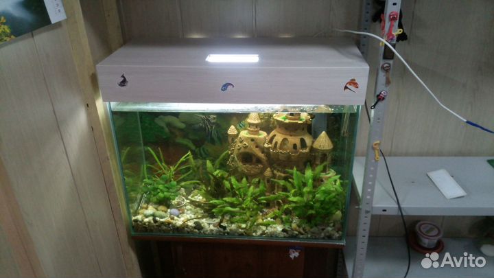 Аквариум 100 литров с тумбой