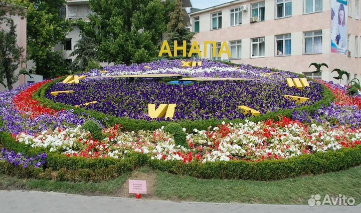 Тур в Анапу на школьн. каникулы 5 нч