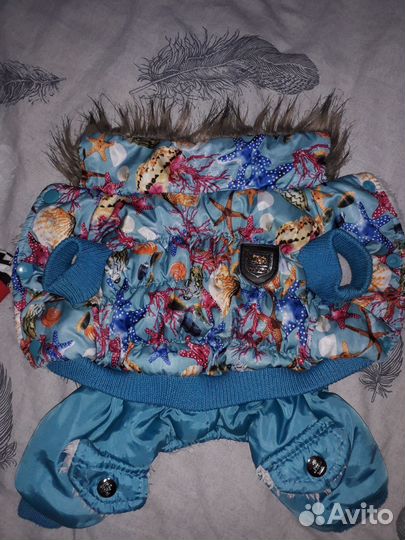 Одежда на Мини Тоя