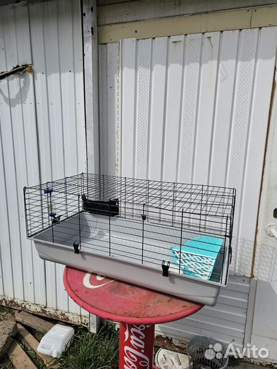Клетка для кроликов бу 100х50