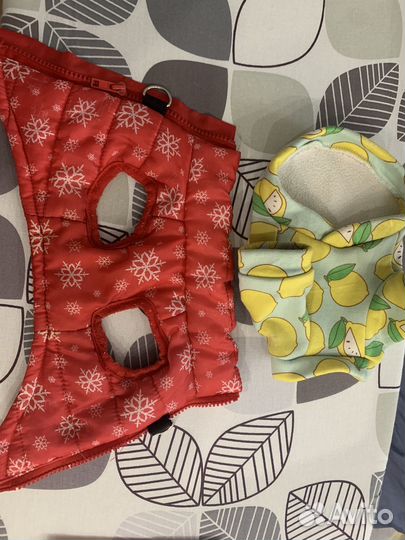 Одежда для собаки мини