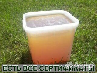 Мёд опт с Алтайского края все сорта