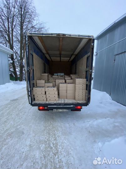 Грузоперевозки.Газель.Грузчики.Круглосуточно