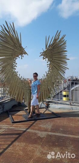 Обучу компьютерной грамотности с 0