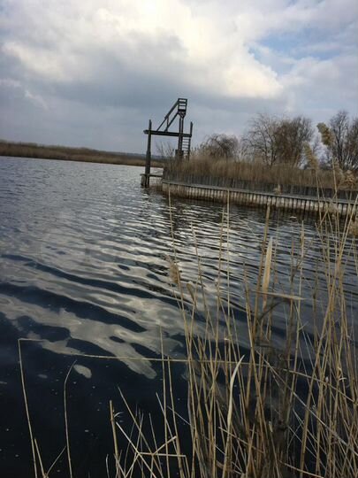 Участок 34 сот. (ИЖС)