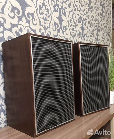 Акустическая система 10 ас-401