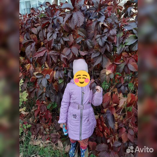 Детское пальто для девочки осень-весна