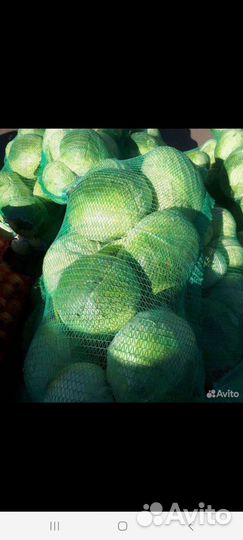 Капуста с поля