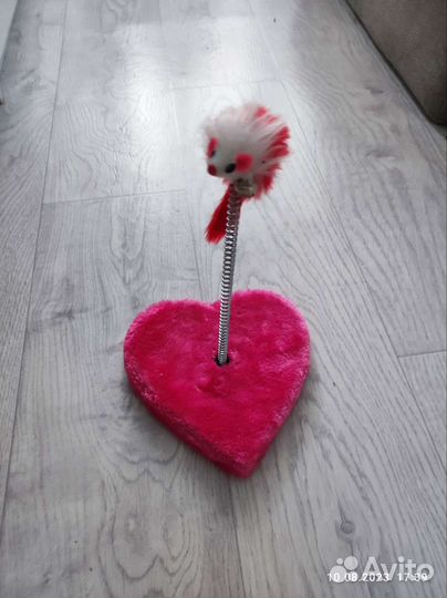 Когтеточка