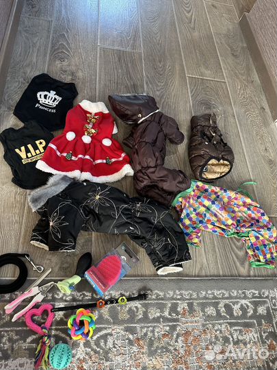 Одежда для маленькой собаки, новая и бу