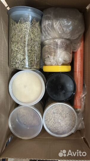 Комплект от кондома до батона