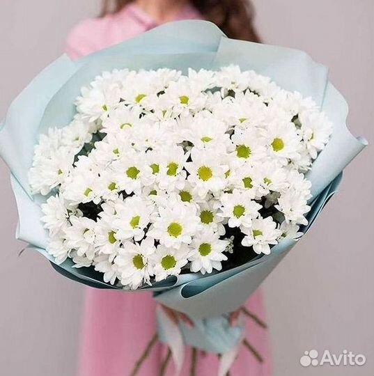 Хризантема Букет хризантем Доставка