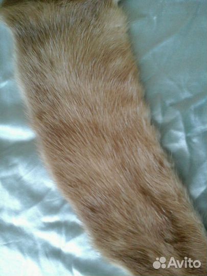 Новая фабричная шкурка норки