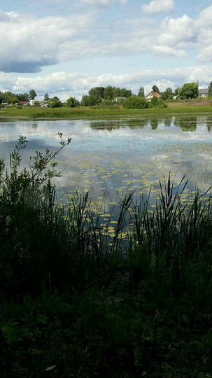 Участок 33 сот. (ИЖС)