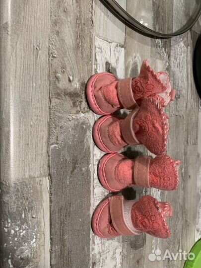 Ботинки для маленьких собак