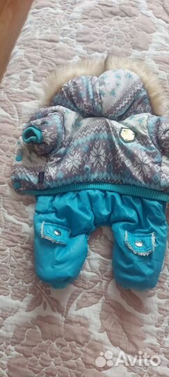 Одежда для собак мелких пород