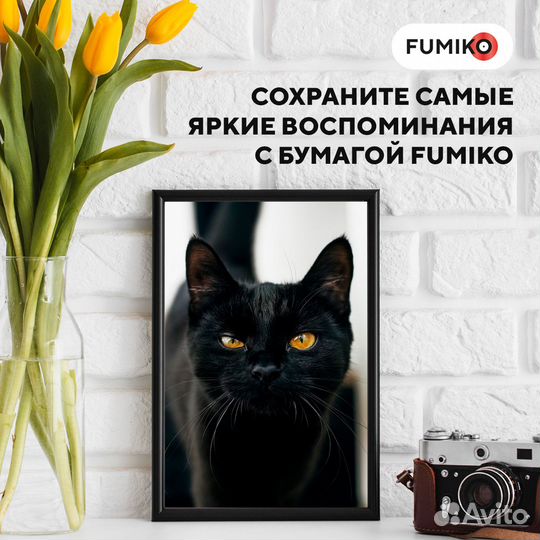 Фотобумага fumiko матовая односторонняя 220г/А4/2