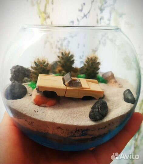 Флорариум кактусы суккуленты мини сад