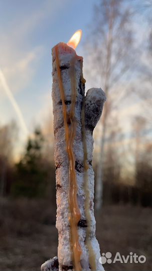Свечи-березки из пчелиного воска