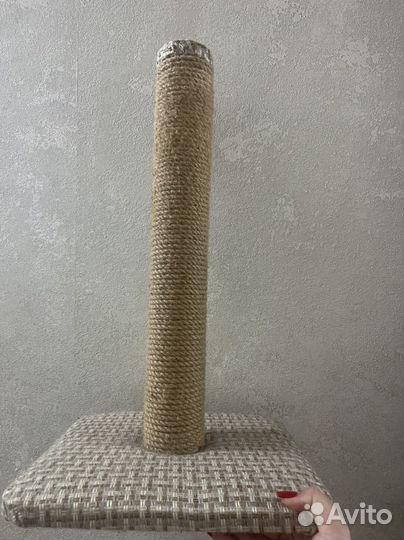 Когтеточка для кошек бу