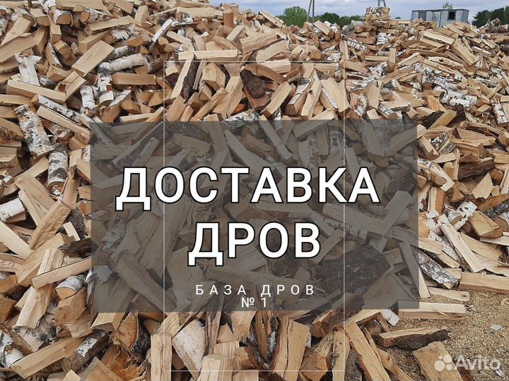 Дрова осина