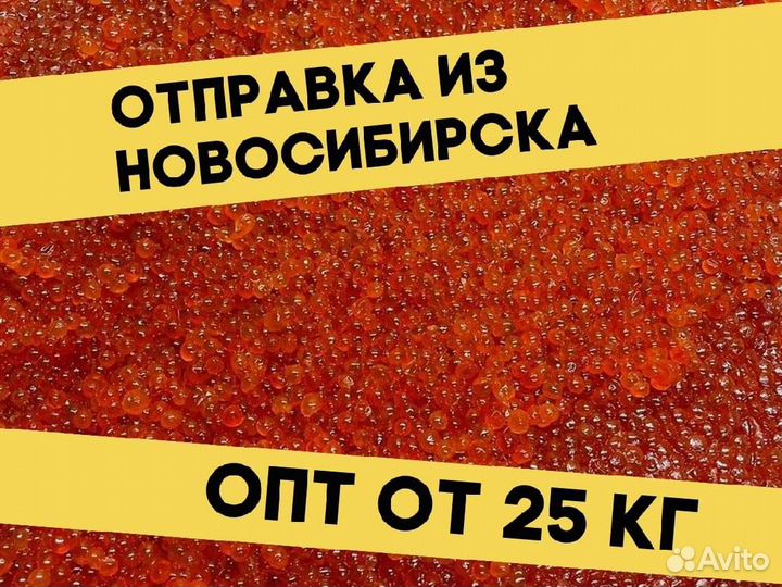 Красная икра нерки, июнь 2023