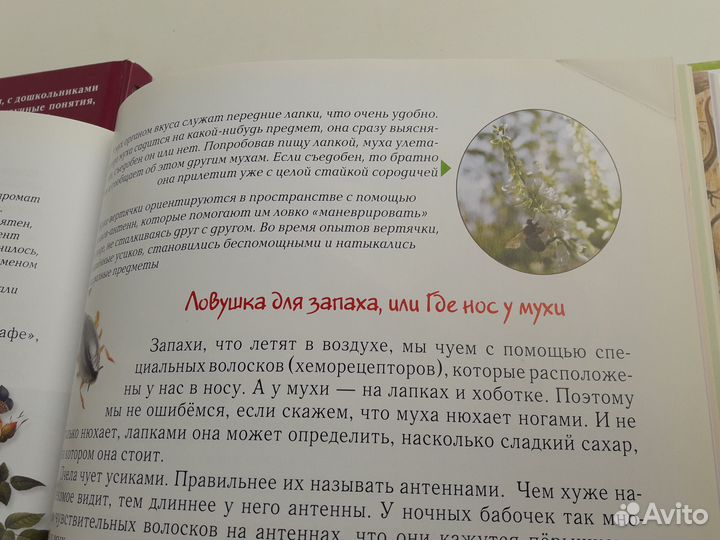 Занимательная биология