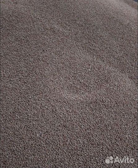 Рожь яровая, Пшеница озимая корма