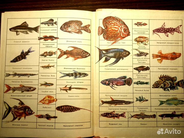 Книга по аквариумистике