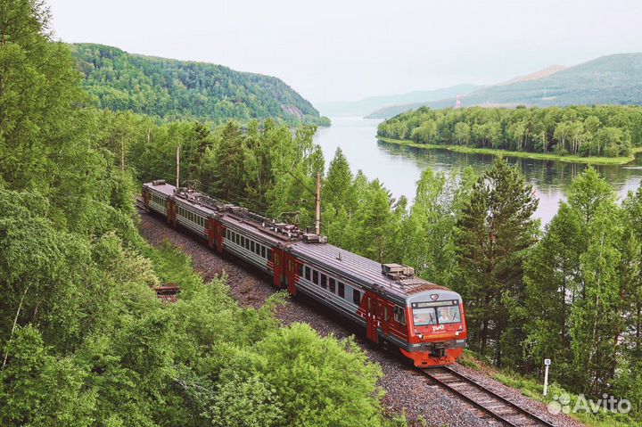 Сортировщик вахта 15 \ 15