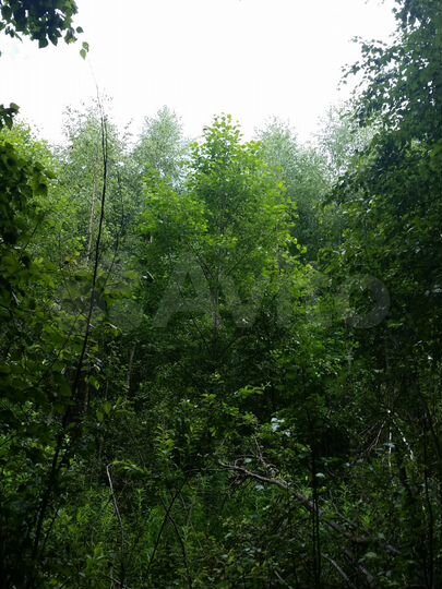 Участок 4,4 га (СНТ, ДНП)