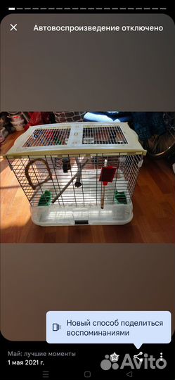 Клетки для птиц